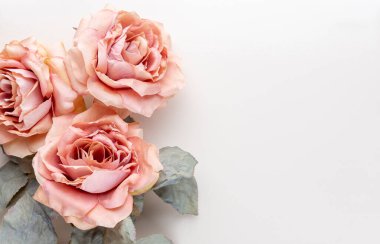 Pastel arka planda bir demet pembe gül. Kart kavramı, pastel renkler, resmi kapat, boşluğu kopyala.