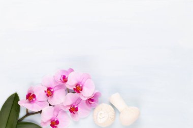 Spa aromaterapi arka planı, basit orkide çiçekleriyle süslenmiş çeşitli güzellik ürünleri..