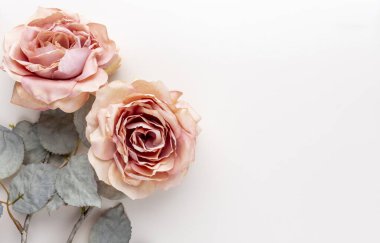 Pastel arka planda bir demet pembe gül. Kart kavramı, pastel renkler, resmi kapat, boşluğu kopyala.