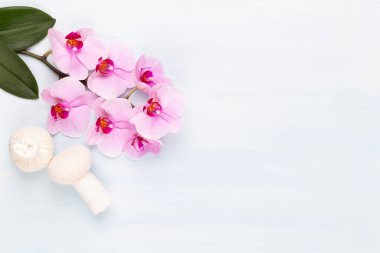 Spa aromaterapi arka planı, basit orkide çiçekleriyle süslenmiş çeşitli güzellik ürünleri..