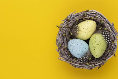 Paskalya tebrik kartı. Yuvadaki Paskalya yumurtaları.