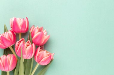 Pastel masa zemininde pembe lale çiçeği ve metin için kopya alanı. Aşk, Uluslararası Kadınlar Günü, Anneler Günü ve Sevgililer Günü konsepti.
