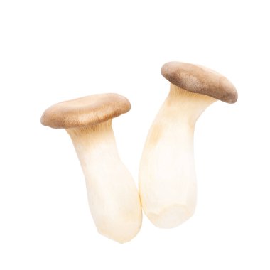 Kral istiridye mantarı. Beyaz arka planda eryngii mantarı.