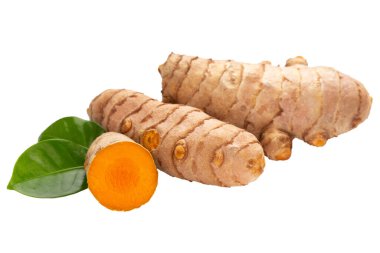 Zerdeçal, Curcuma longa Linn, rizom beyaz arkaplanda izole.