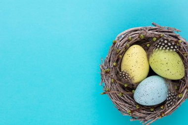 Paskalya tebrik kartı. Yuvadaki Paskalya yumurtaları.