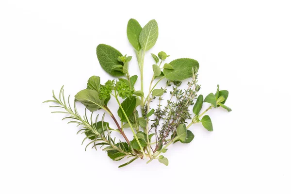 Spice Plant Isolated White Background Top View Flat Lay Pattern — Stock Photo, Image