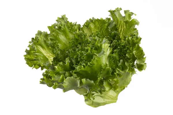 Saladeblad Bio Sla Geïsoleerd Witte Achtergrond — Stockfoto