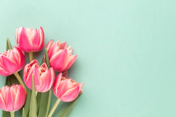 Flor Tulipán Rosa Sobre Fondo Pastel Con Espacio Copia Para Fotos De Stock