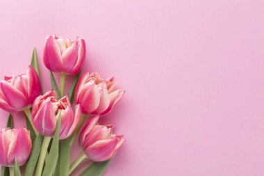 Pastel masa zemininde pembe lale çiçeği ve metin için kopya alanı. Aşk, Uluslararası Kadınlar Günü, Anneler Günü ve Sevgililer Günü konsepti.