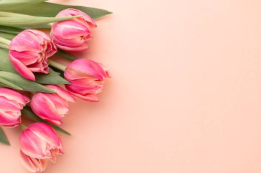 Pastel masa zemininde pembe lale çiçeği ve metin için kopya alanı. Aşk, Uluslararası Kadınlar Günü, Anneler Günü ve Sevgililer Günü konsepti.