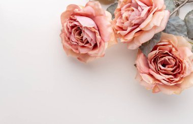 Pastel arka planda bir demet pembe gül. Kart kavramı, pastel renkler, resmi kapat, boşluğu kopyala.