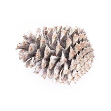 Beyaz bir arka planda Noel dekoru yakın plan. İzole edilmiş - Resim