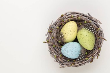 Paskalya tebrik kartı. Yuvadaki Paskalya yumurtaları.