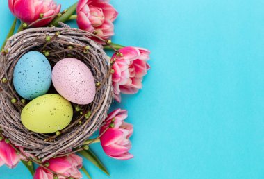 Bahar tebrik kartı. Paskalya yumurta yuvada. Bahar çiçekler.