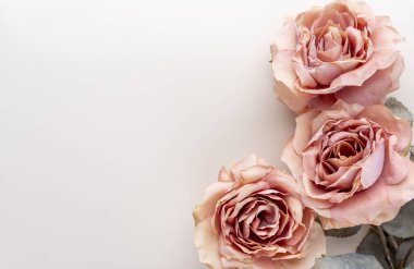 Pastel arka planda bir demet pembe gül. Kart kavramı, pastel renkler, resmi kapat, boşluğu kopyala.