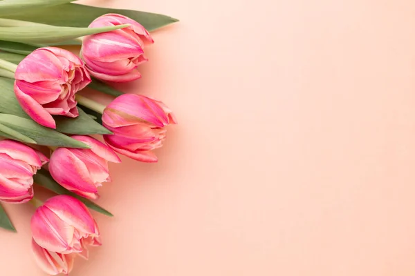 Fleur Tulipe Rose Sur Fond Table Pastel Avec Espace Copie Image En Vente