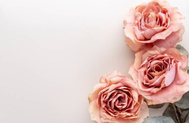 Pastel arka planda bir demet pembe gül. Kart kavramı, pastel renkler, resmi kapat, boşluğu kopyala.