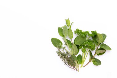 Beyaz arka planda izole edilmiş baharat bitkisi. Üst Manzara. Düz uzanma deseni.