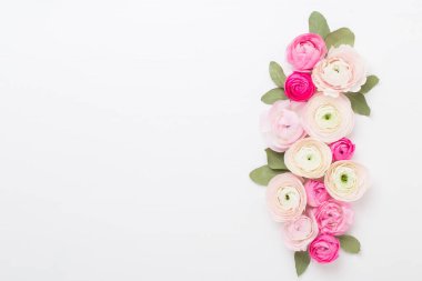 Beyaz arka planda güzel renkli ranunculus çiçekleri. Sevgililer Günü tebrik kartı..