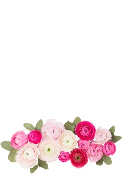 Beyaz arka planda güzel renkli ranunculus çiçekleri. Sevgililer Günü tebrik kartı..