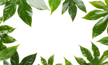 Metin için alanı olan bir spa arkaplanı. Spa tebrik kartı demek. aromaterapi teması, el yapımı kozmetik