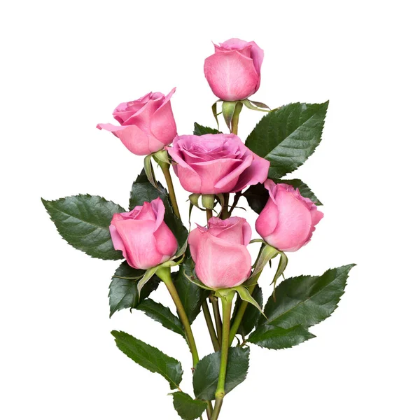 Blumen Grußkarte Rahmen Aus Rosa Rose Auf Grauem Hintergrund Flache — Stockfoto