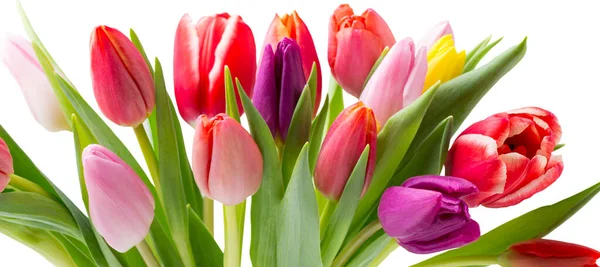 Tulpen Auf Dem Grauen Hintergrund — Stockfoto