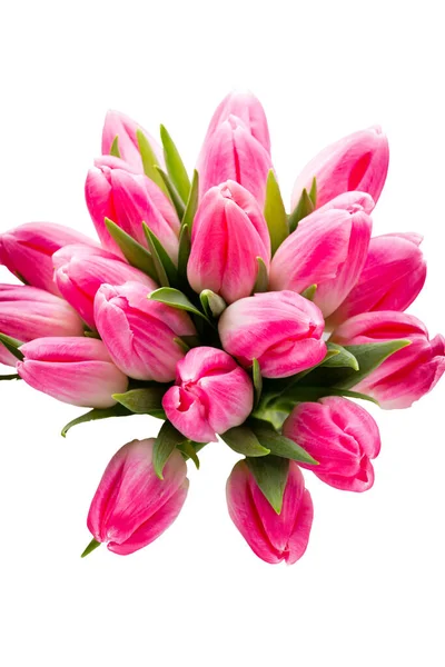 Tulipe Rose Sur Fond Gris — Photo