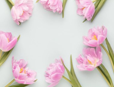 Pastel arka planda pembe lale çiçekleri.