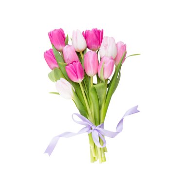 Beyaz arka planda pembe lale. Paskalya ve bahar tebrik kartı.