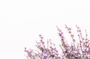 Çiçek kompozisyonu. Pembe arka planda pembe çiçekler. Paskalya, bahar konsepti. Tebrik kartı, düz konum, üst görünüm. 