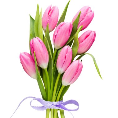 Laleler pembe, gri arka planda..