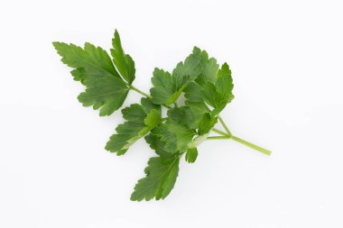 Beyaz arkaplanda biyo maydanoz yaprağı.
