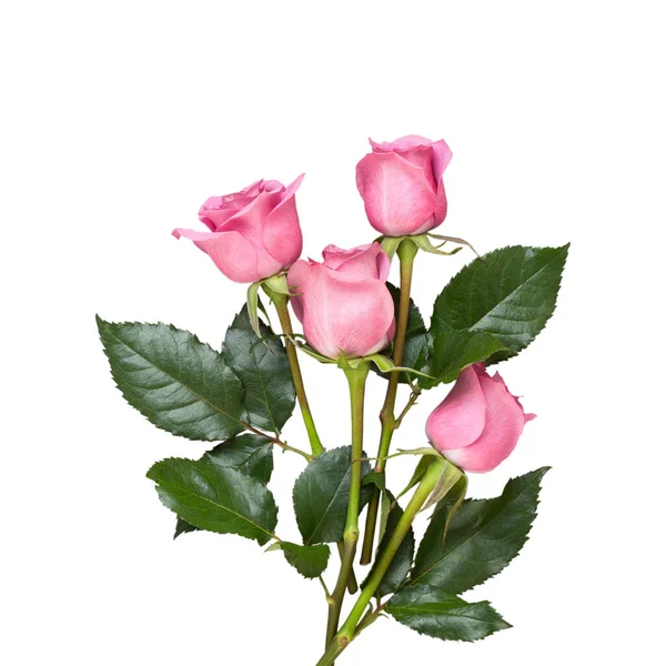 Cartão Felicitações Flores Quadro Feito Rosa Rosa Fundo Cinza Flat — Fotografia de Stock