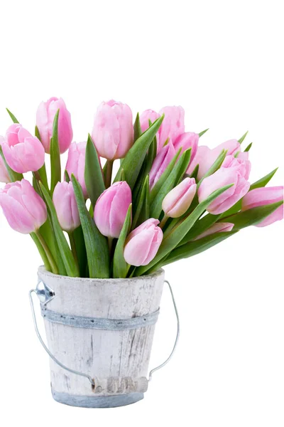 Frühling Ostern Tulpen Eimer Auf Weißem Vintage Hintergrund — Stockfoto