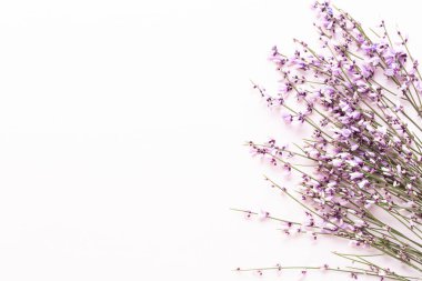 Çiçek kompozisyonu. Pembe arka planda pembe çiçekler. Paskalya, bahar konsepti. Tebrik kartı, düz konum, üst görünüm. 