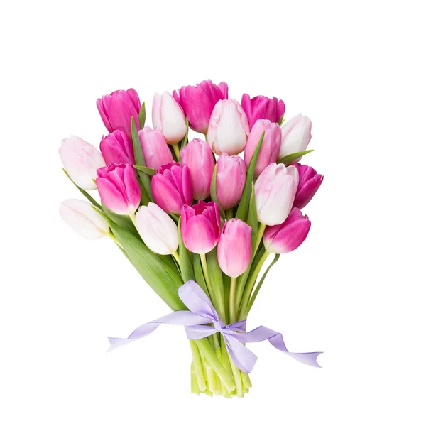 Tulipe Rose Sur Fond Blanc Carte Vœux Pâques Printemps — Photo