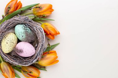 Yuvadaki Paskalya yumurtaları. Bahar tebrik kartı..
