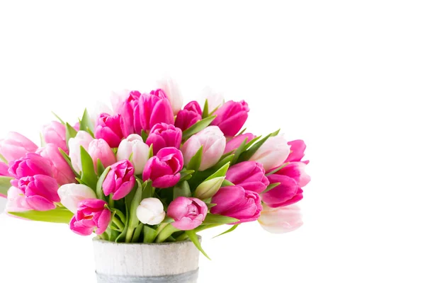 Rosa Tulpe Auf Weißem Hintergrund Ostern Und Frühling Grußkarte — Stockfoto