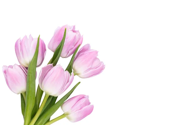 紫色背景的丁香郁金香花 国际妇女节 母亲节和情人节快乐的概念 — 图库照片