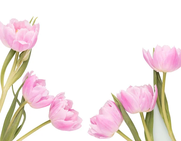 粉红郁金香花在油腻的背景上 — 图库照片
