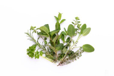 Beyaz arka planda izole edilmiş baharat bitkisi. Üst Manzara. Düz uzanma deseni.