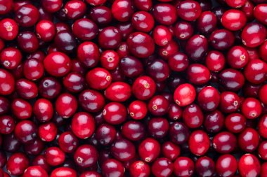 Kızılcık biyolojisi, yemek geçmişi.