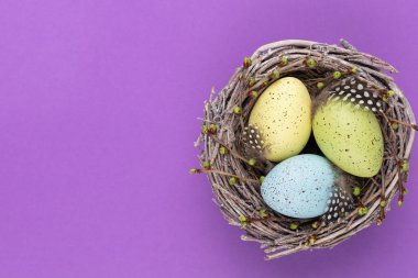 Yuvadaki Paskalya yumurtaları. Bahar tebrik kartı..