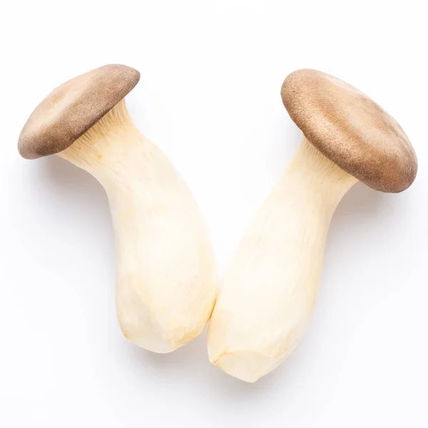 King Oyster Mushroom Eryngii Mushroom White Background — Stock Photo, Image