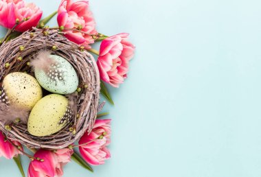 Bahar tebrik kartı. Paskalya yumurta yuvada. Bahar çiçekler.