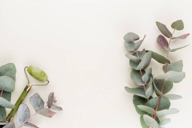 Okaliptüs kompozisyonu. Beyaz arka planda çeşitli renkli çiçeklerden oluşan desen. Düz yaşam stiil yatıyordu.