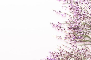 Çiçek kompozisyonu. Pembe arka planda pembe çiçekler. Paskalya, bahar konsepti. Tebrik kartı, düz konum, üst görünüm. 