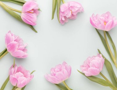 Pastel arka planda pembe lale çiçekleri.