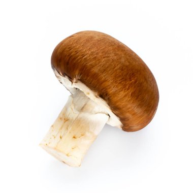 Taze şampiyon mantarları beyazda izole edilmiş.. 